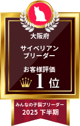 2025年下半期 大阪府サイベリアンブリーダー 第1位