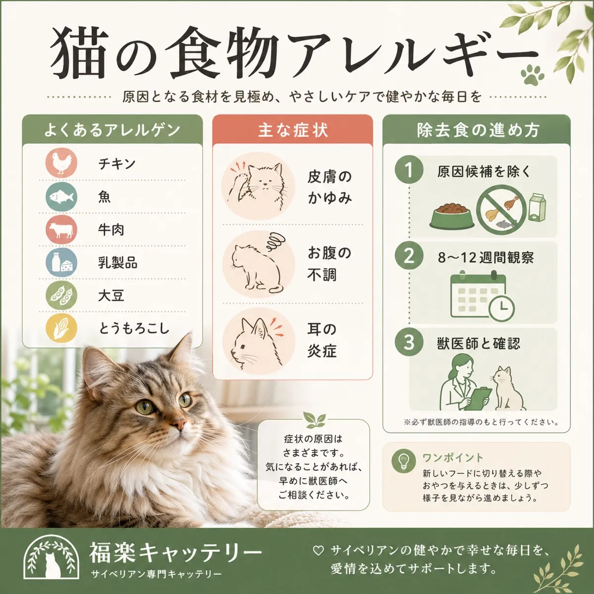 フードアレルギー症状
