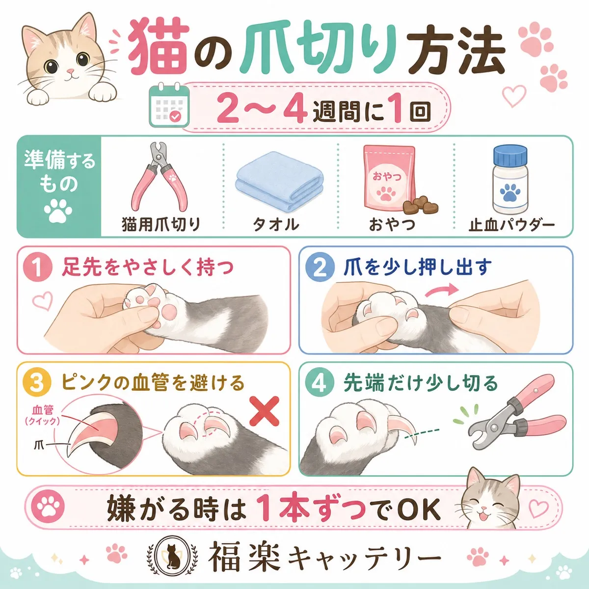 猫がかかりやすい病気のサイン