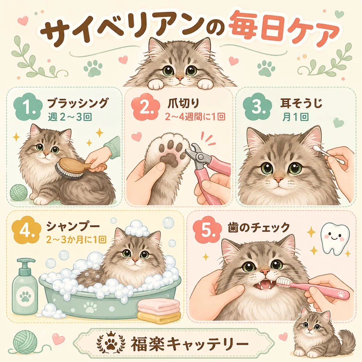 猫の毎日の健康ケアチェックリスト｜10項目で気づく異変