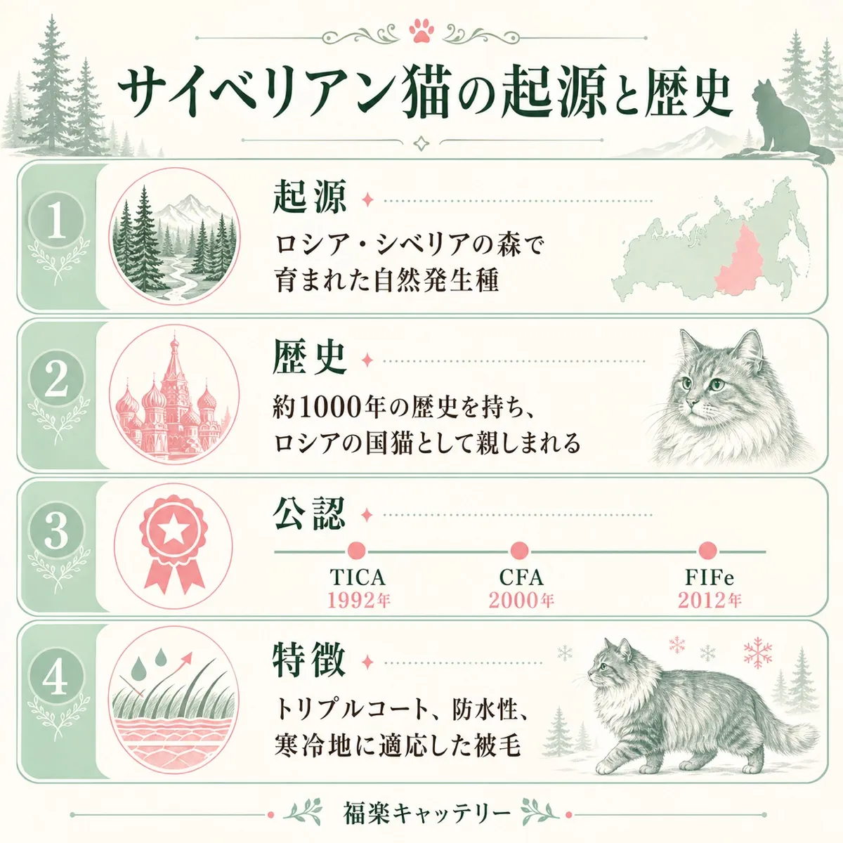 サイベリアンのCFA品種スタンダード｜公式基準と評価ポイント