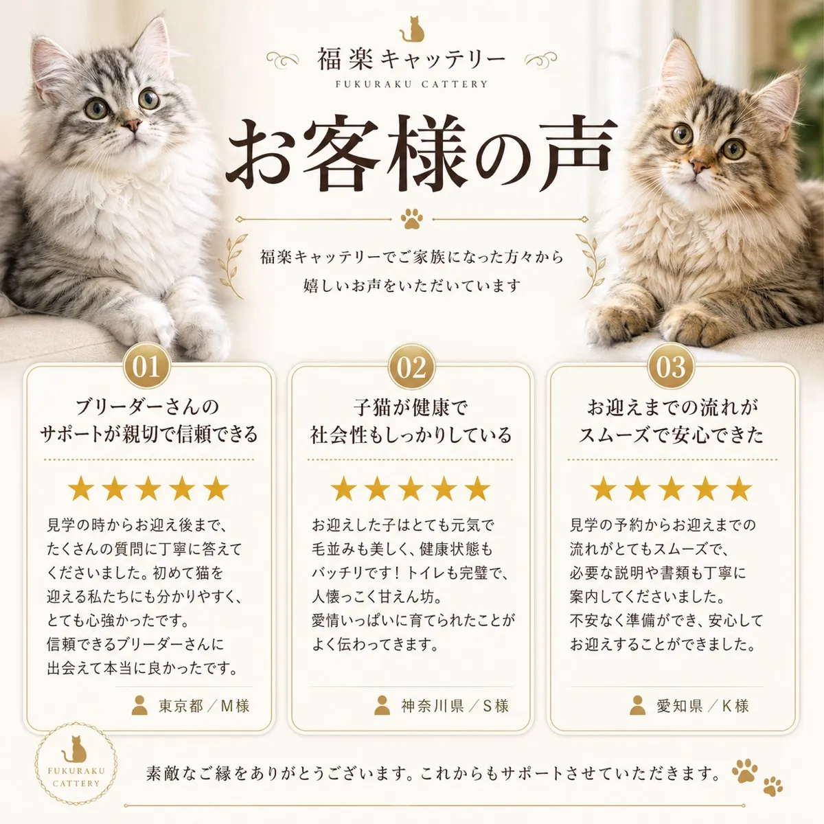福楽キャッテリーの卒業生の声｜200頭の飼い主から寄せられた声