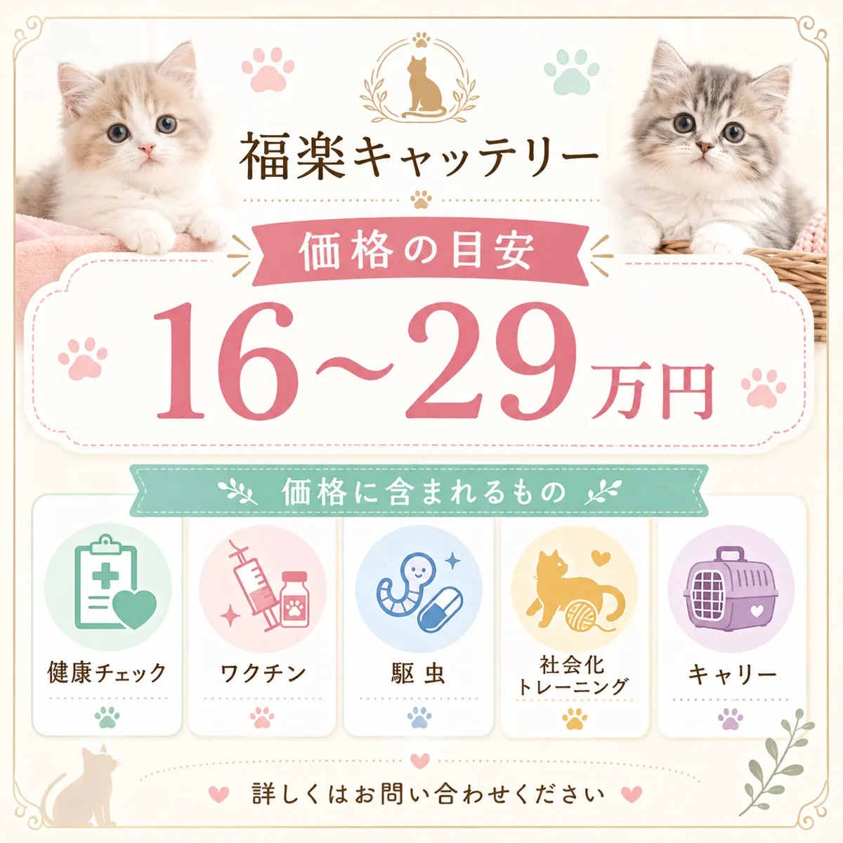子猫価格の決定要素