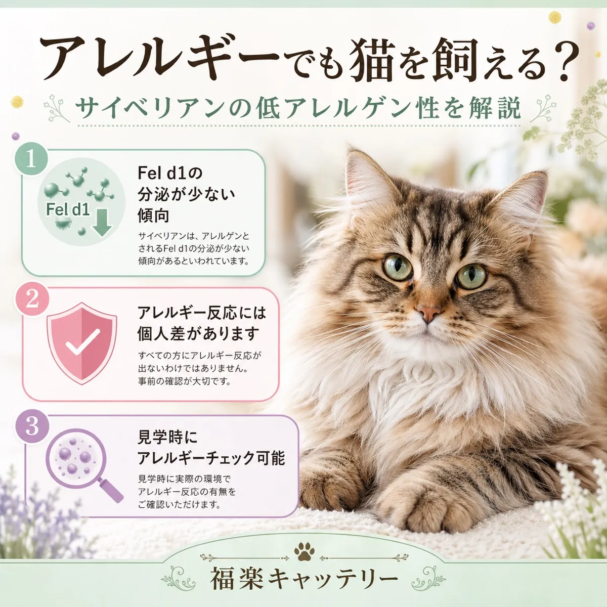 Fel d1低タンパク質