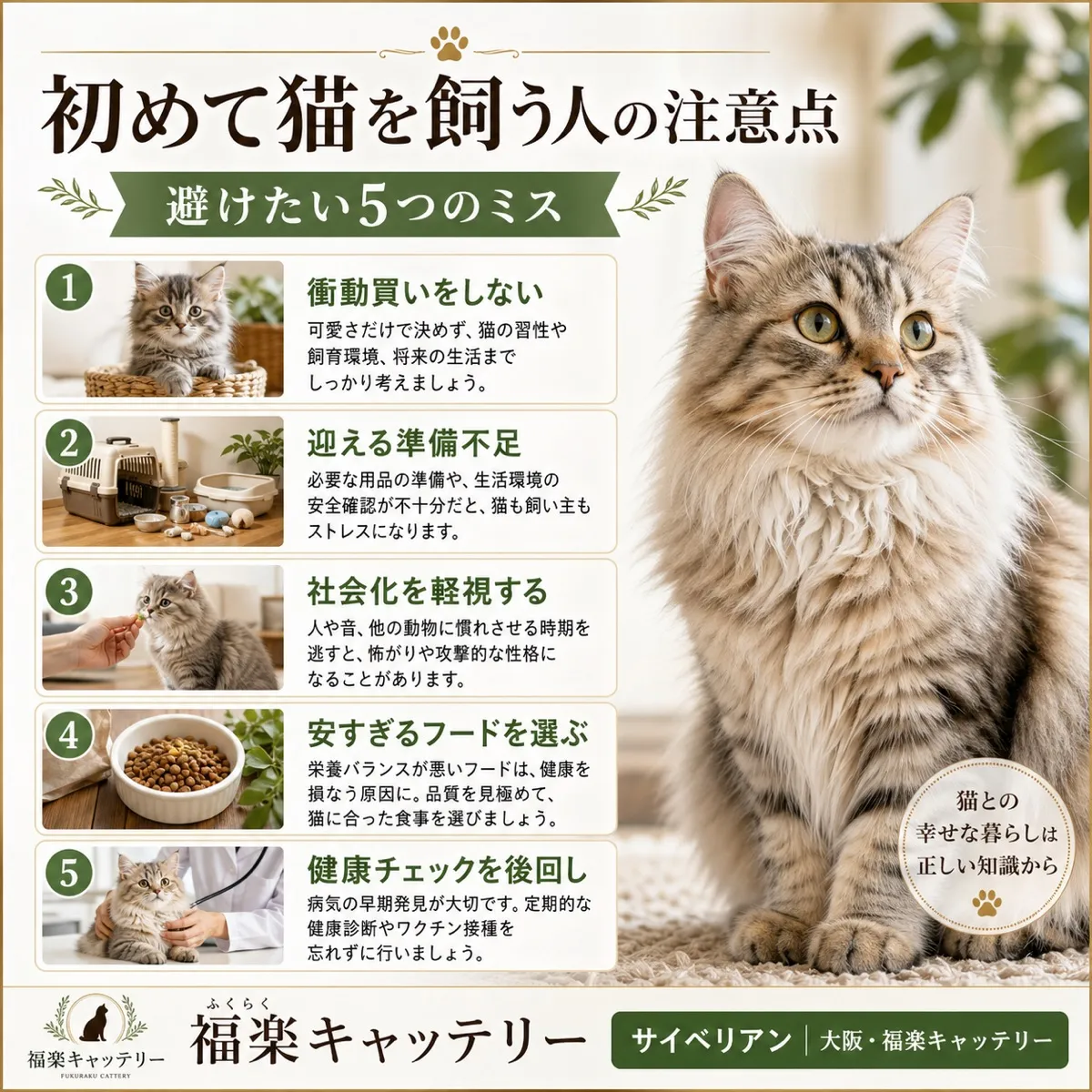 初めて猫を飼う人がやりがちな失敗10選｜先輩飼い主の体験