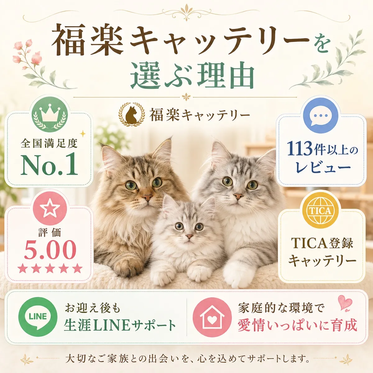 福楽キャッテリーの強み