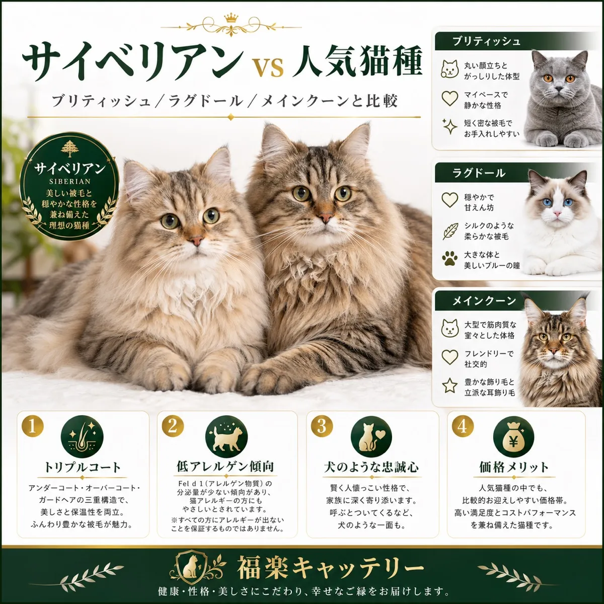 人気3品種の比較