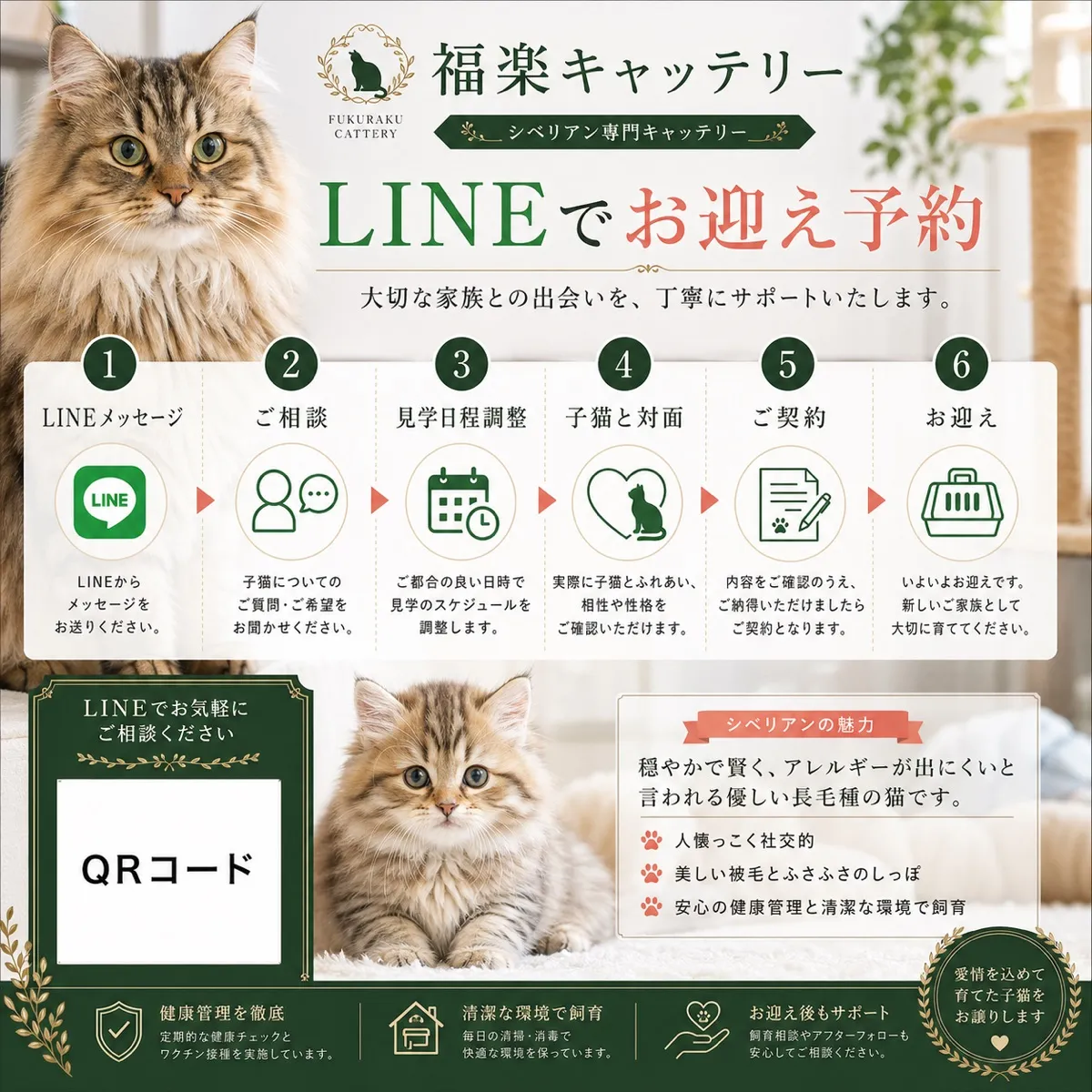 予約・契約のステップ