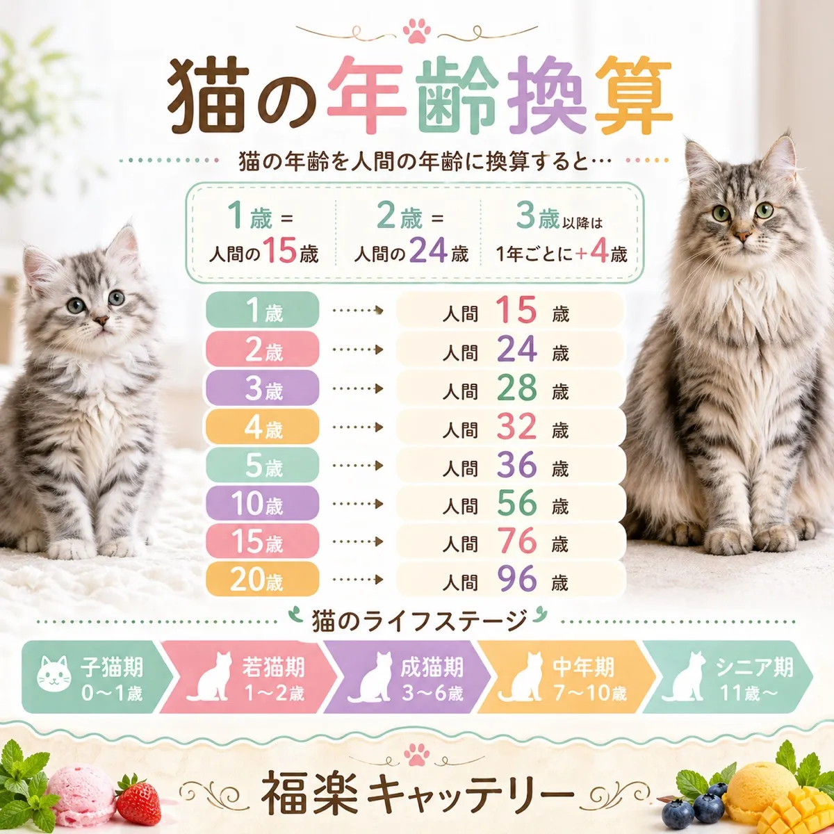 猫年齢と人間年齢の換算