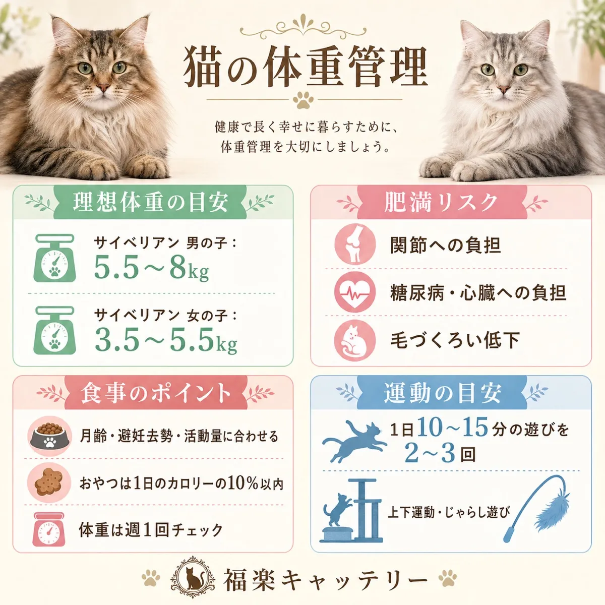 理想体重とBCS判定