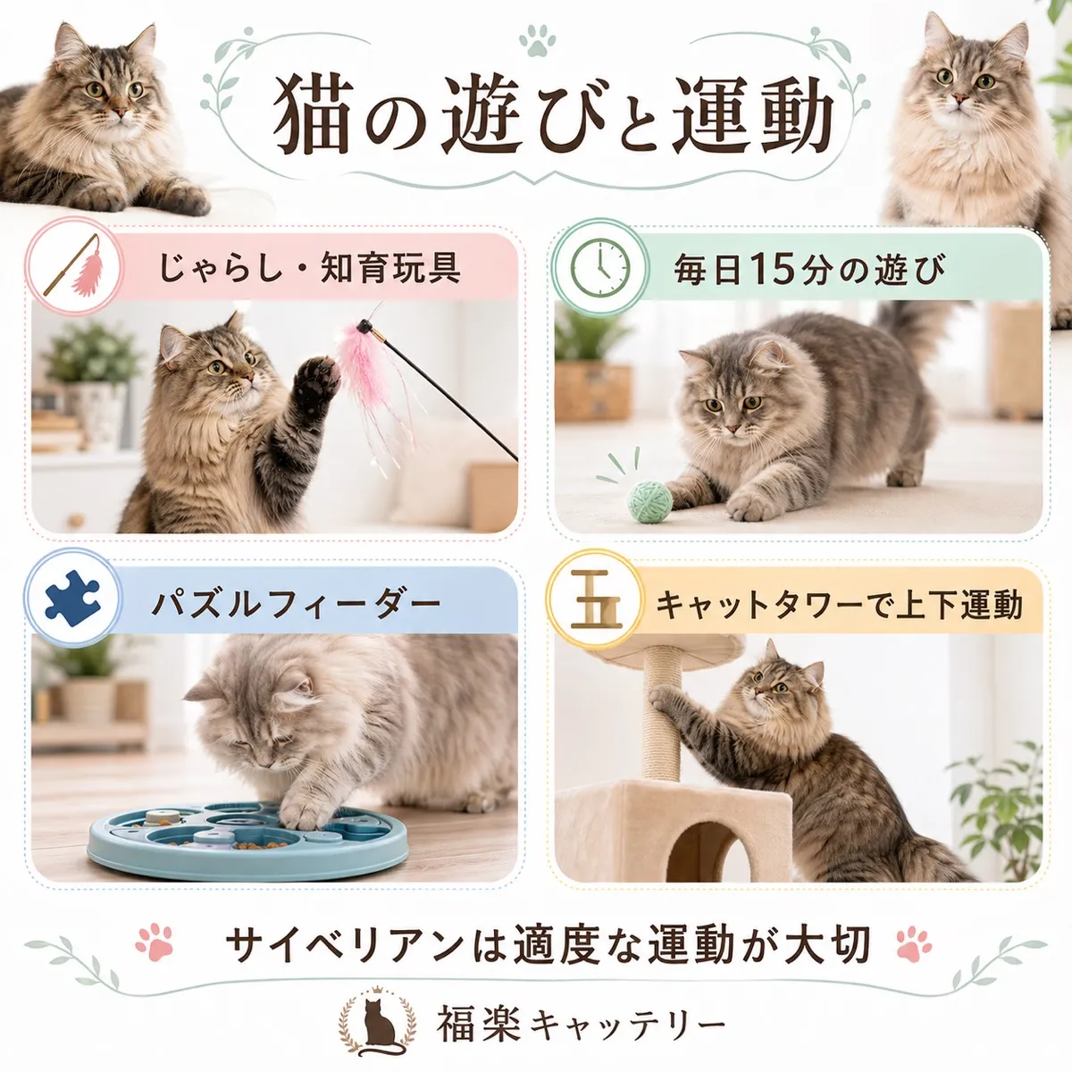 年齢別の遊びと運動量