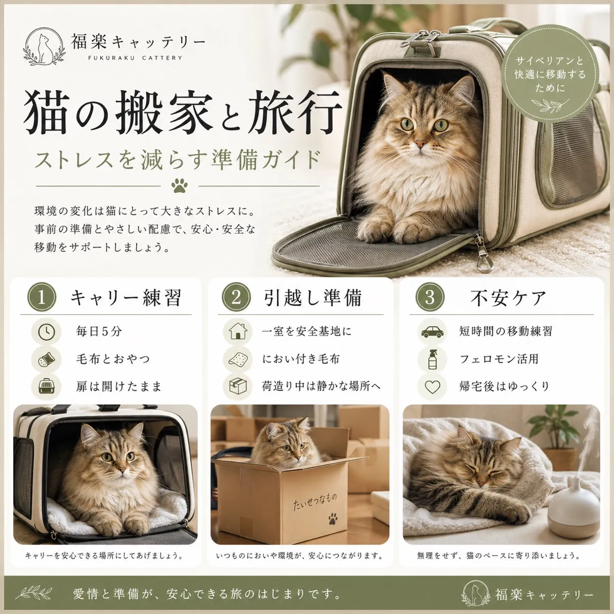 引っ越し・旅行ストレス対策