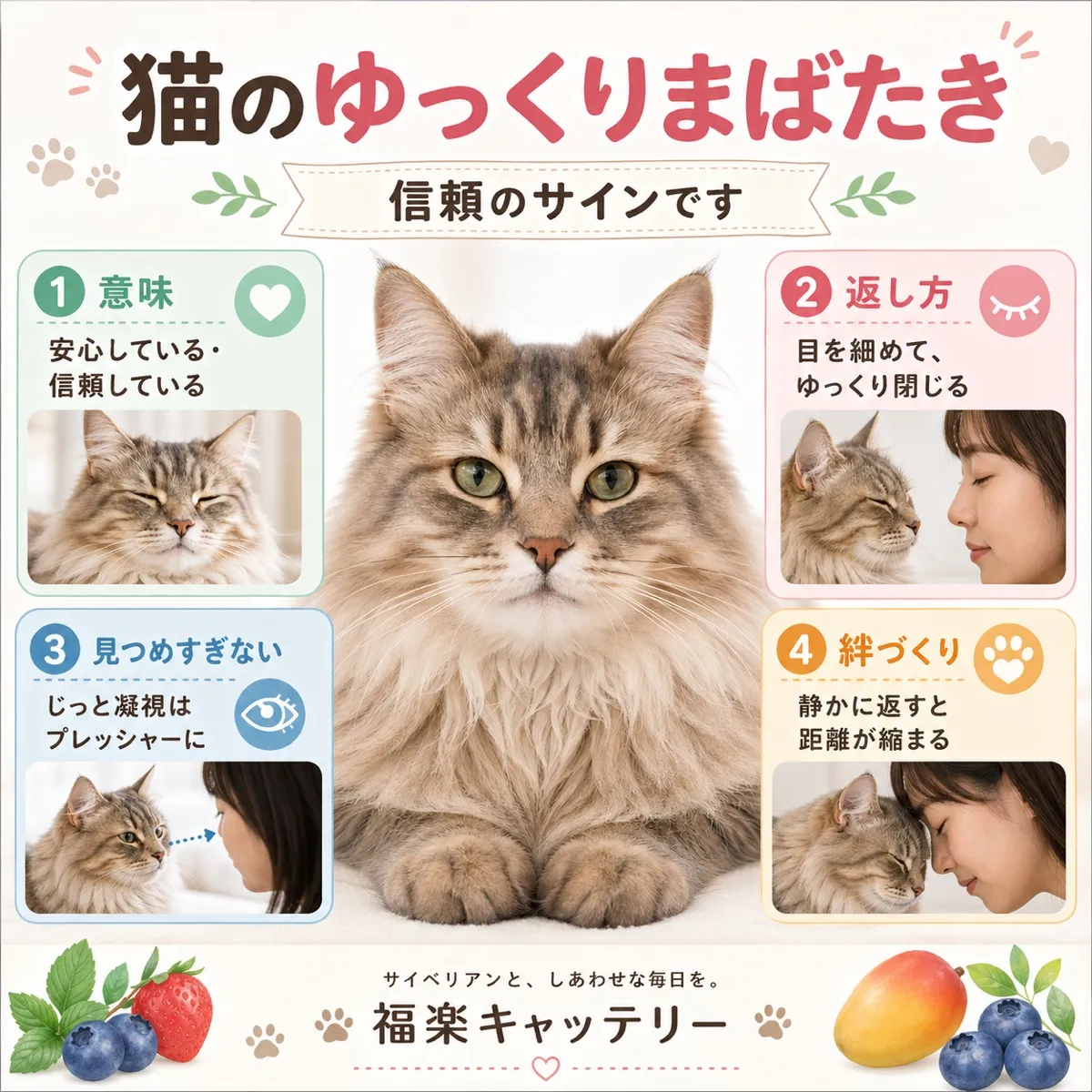 猫の「ゆっくり瞬き」の意味｜信頼のサインを返すコツ
