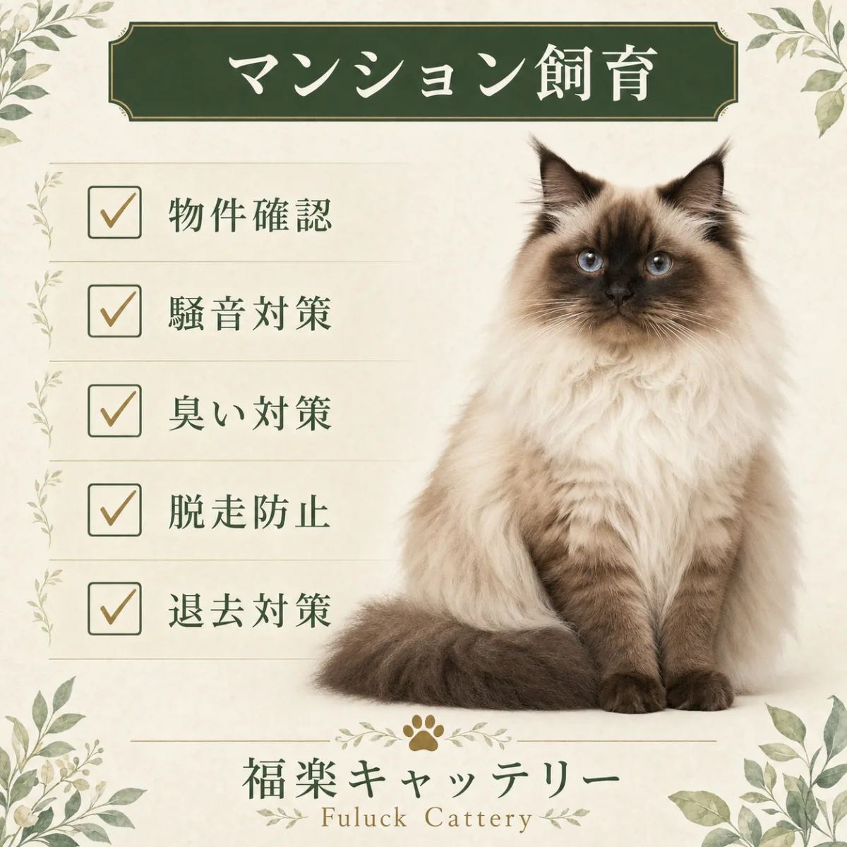 マンションで猫を飼う際の5つの注意点｜福楽キャッテリー